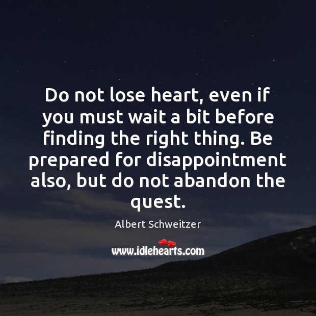 Do not lose heart, even if you must wait a bit before Albert Schweitzer Picture Quote