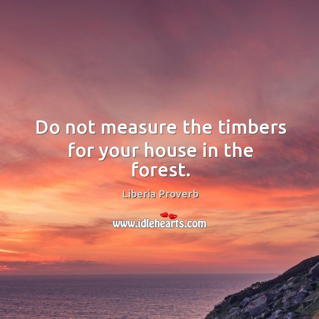 Do not measure the timbers for your house in the forest. Liberia Proverbs Image