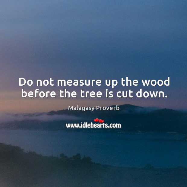 Do not measure up the wood before the tree is cut down. Malagasy Proverbs Image