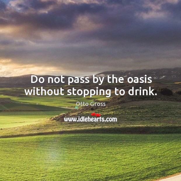 Do not pass by the oasis without stopping to drink. Otto Gross Picture Quote