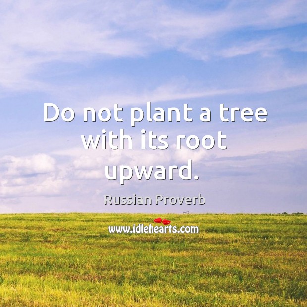 Do not plant a tree with its root upward. Russian Proverbs Image