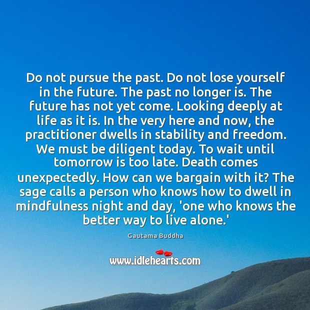Do not pursue the past. Do not lose yourself in the future. Gautama Buddha Picture Quote