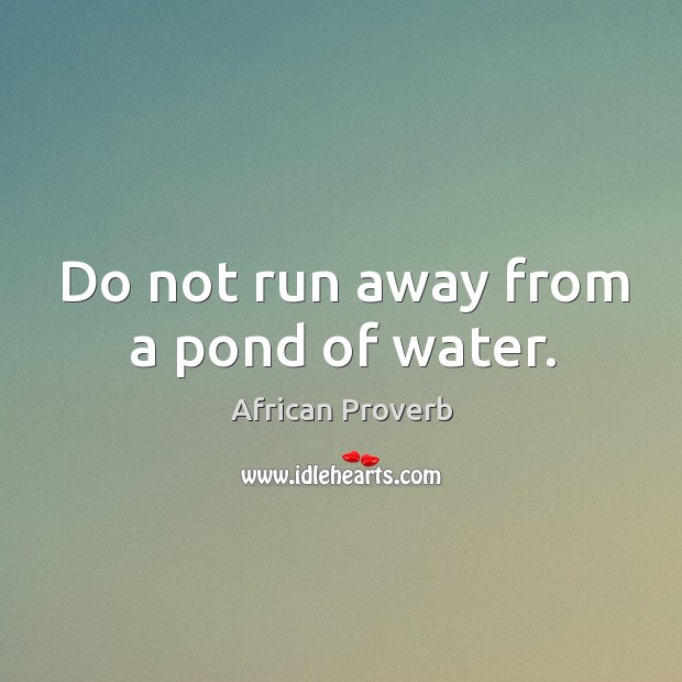 Do not run away from a pond of water. African Proverbs Image