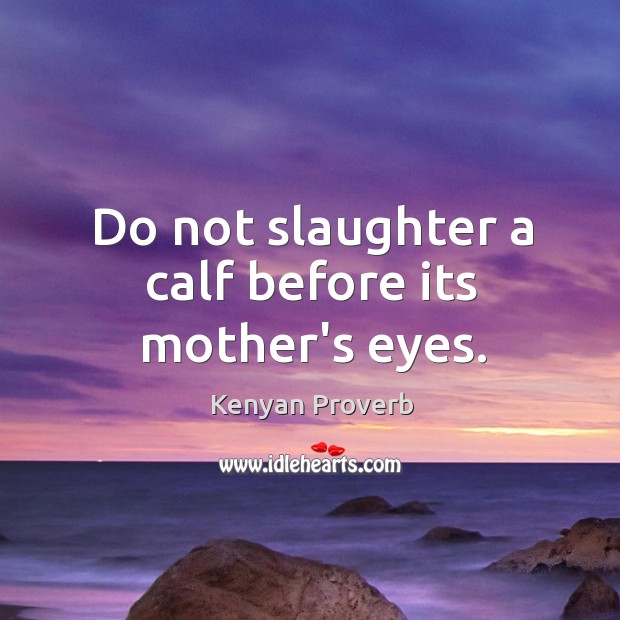 Do not slaughter a calf before its mother’s eyes. Kenyan Proverbs Image