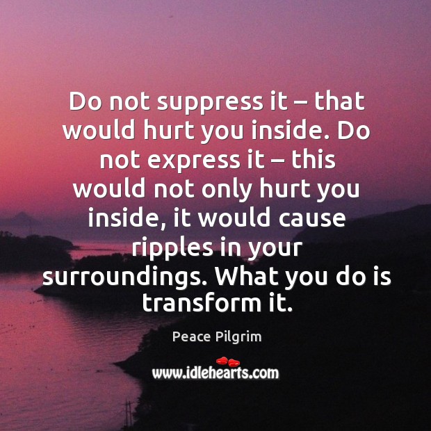 Do not suppress it – that would hurt you inside. Do not express it Peace Pilgrim Picture Quote