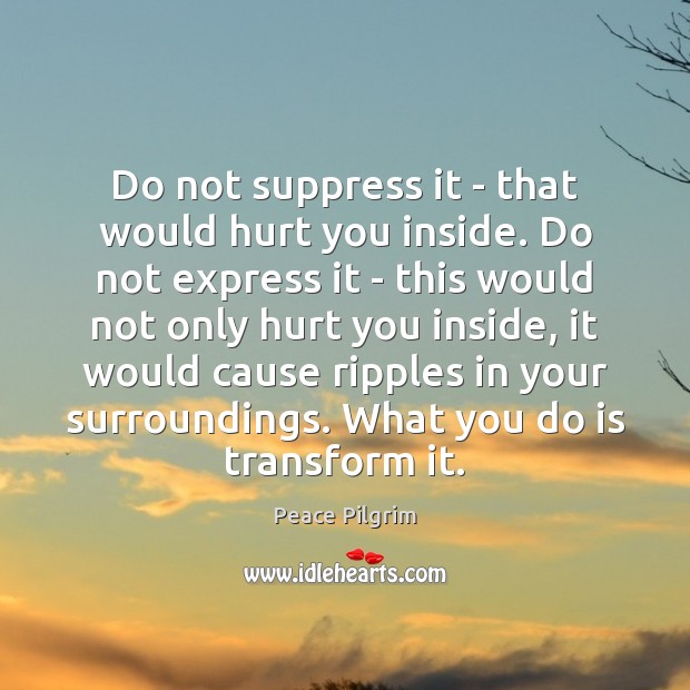 Do not suppress it – that would hurt you inside. Do not Peace Pilgrim Picture Quote