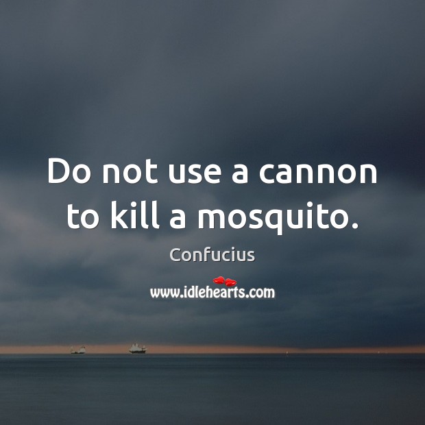 Do not use a cannon to kill a mosquito. Confucius Picture Quote