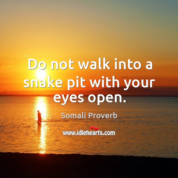 Do not walk into a snake pit with your eyes open. Somali Proverbs Image