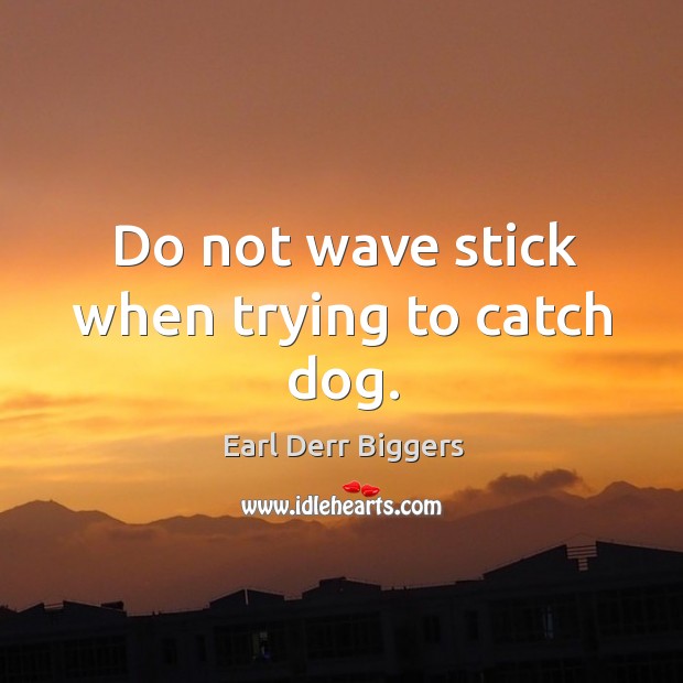 Do not wave stick when trying to catch dog. Earl Derr Biggers Picture Quote