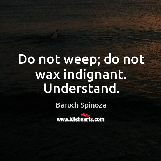 Do not weep; do not wax indignant. Understand. Baruch Spinoza Picture Quote