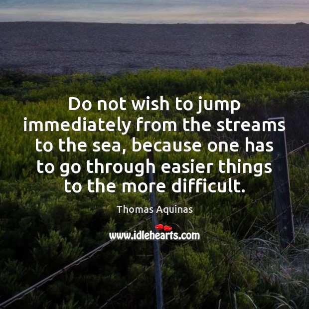 Do not wish to jump immediately from the streams to the sea, Thomas Aquinas Picture Quote