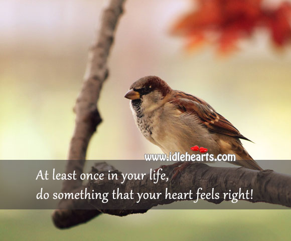 Do something that your heart feels right 