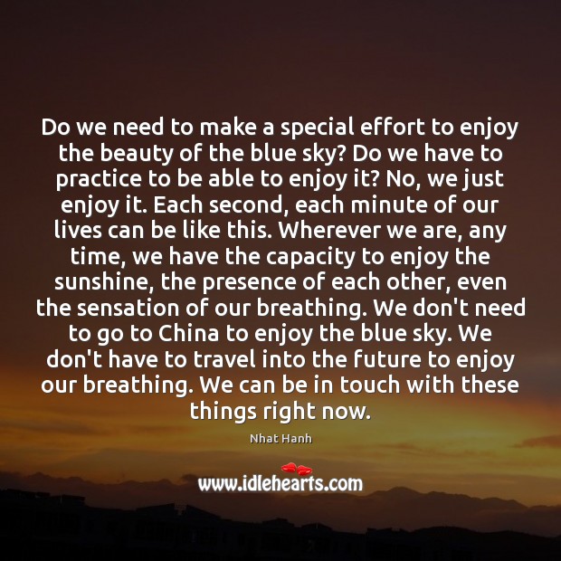 Do we need to make a special effort to enjoy the beauty Nhat Hanh Picture Quote