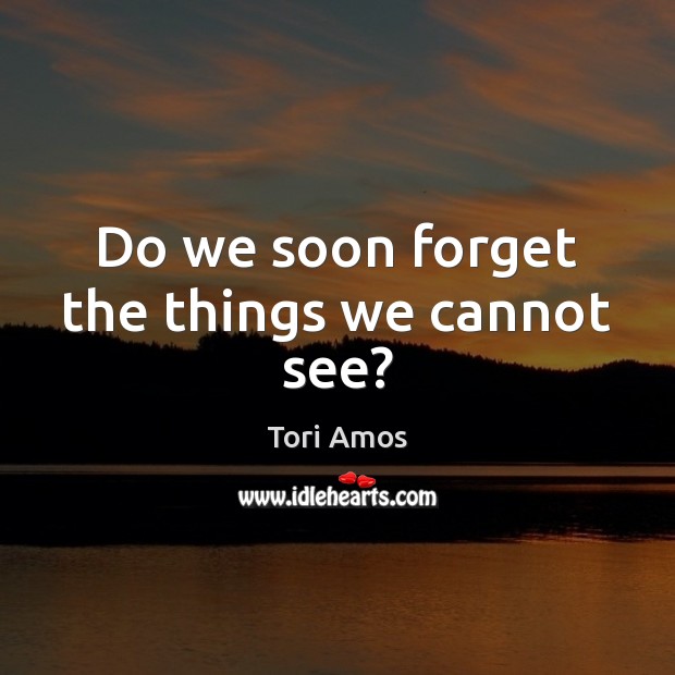Do we soon forget the things we cannot see? Tori Amos Picture Quote