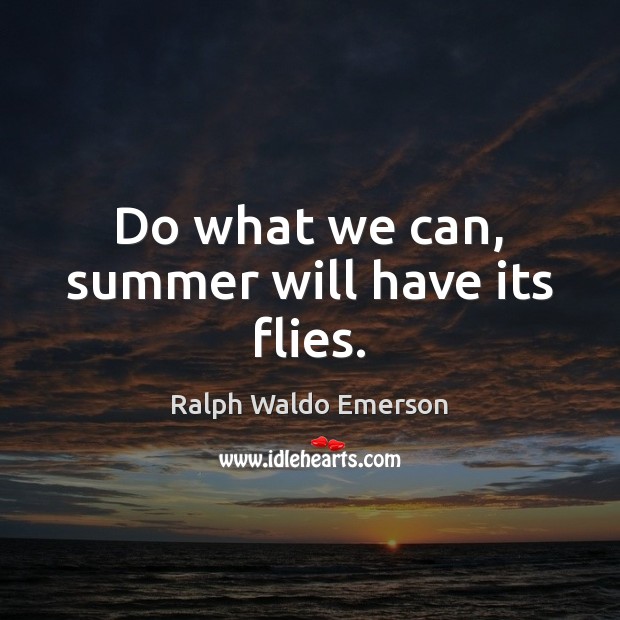 Do what we can, summer will have its flies. Image