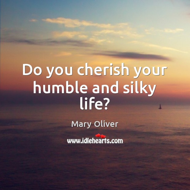 Do you cherish your humble and silky life? Mary Oliver Picture Quote