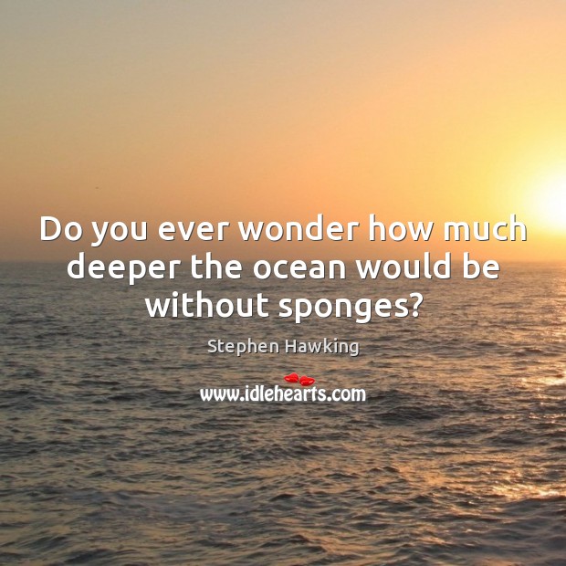 Do you ever wonder how much deeper the ocean would be without sponges? Stephen Hawking Picture Quote