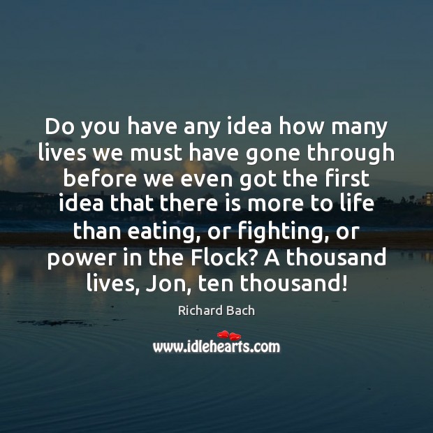 Do you have any idea how many lives we must have gone Richard Bach Picture Quote
