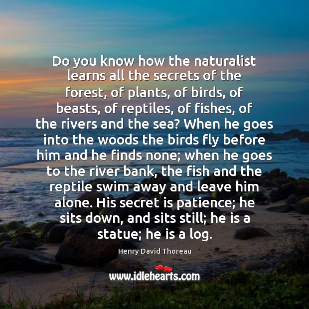 Do you know how the naturalist learns all the secrets of the Henry David Thoreau Picture Quote