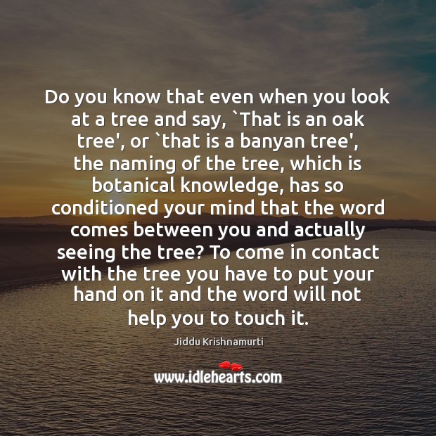 Do you know that even when you look at a tree and Jiddu Krishnamurti Picture Quote