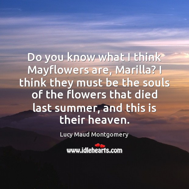 Do you know what I think Mayflowers are, Marilla? I think they Lucy Maud Montgomery Picture Quote