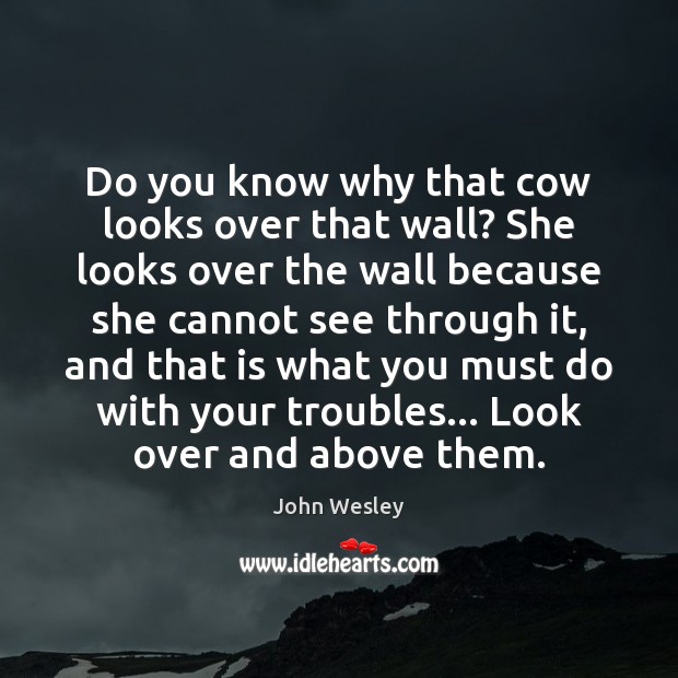 Do you know why that cow looks over that wall? She looks Image