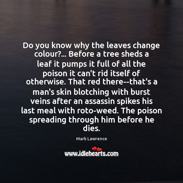 Do you know why the leaves change colour?… Before a tree sheds Mark Lawrence Picture Quote