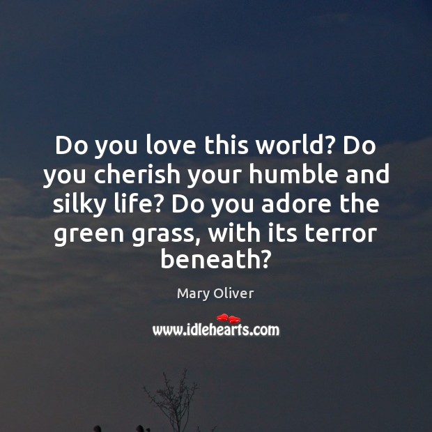 Do you love this world? Do you cherish your humble and silky Mary Oliver Picture Quote