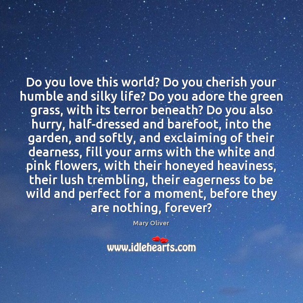 Do you love this world? Do you cherish your humble and silky Mary Oliver Picture Quote