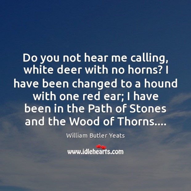Do you not hear me calling, white deer with no horns? I William Butler Yeats Picture Quote