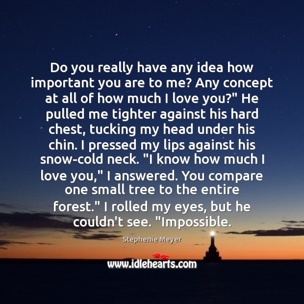 Do you really have any idea how important you are to me? Stephenie Meyer Picture Quote