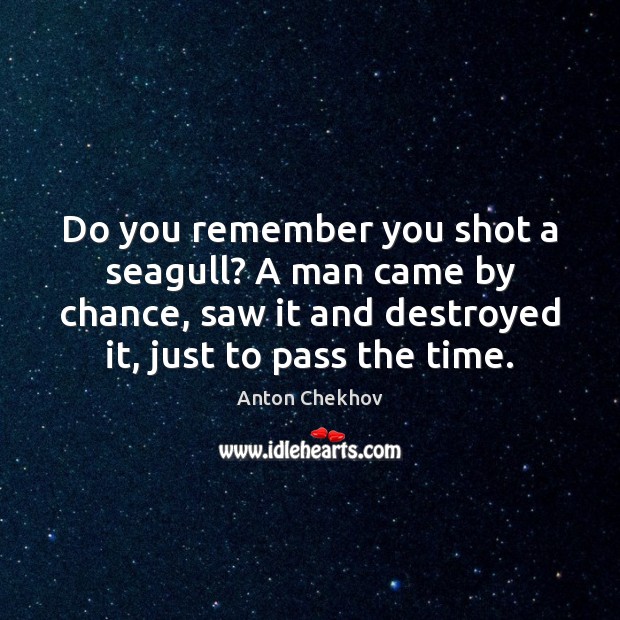 Do you remember you shot a seagull? A man came by chance, Chance Quotes Image