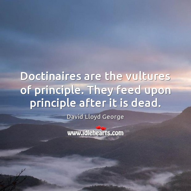 Doctinaires are the vultures of principle. They feed upon principle after it is dead. David Lloyd George Picture Quote