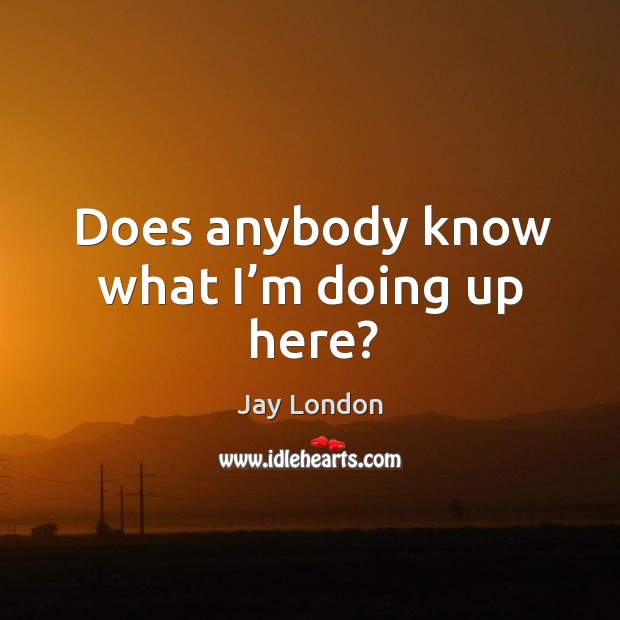 Does anybody know what I’m doing up here? Jay London Picture Quote