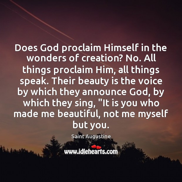 Does God proclaim Himself in the wonders of creation? No. All things Saint Augustine Picture Quote