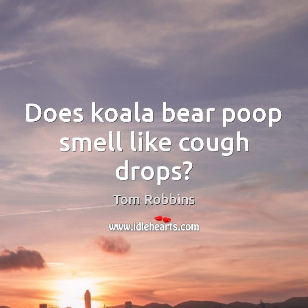 Does koala bear poop smell like cough drops? Tom Robbins Picture Quote