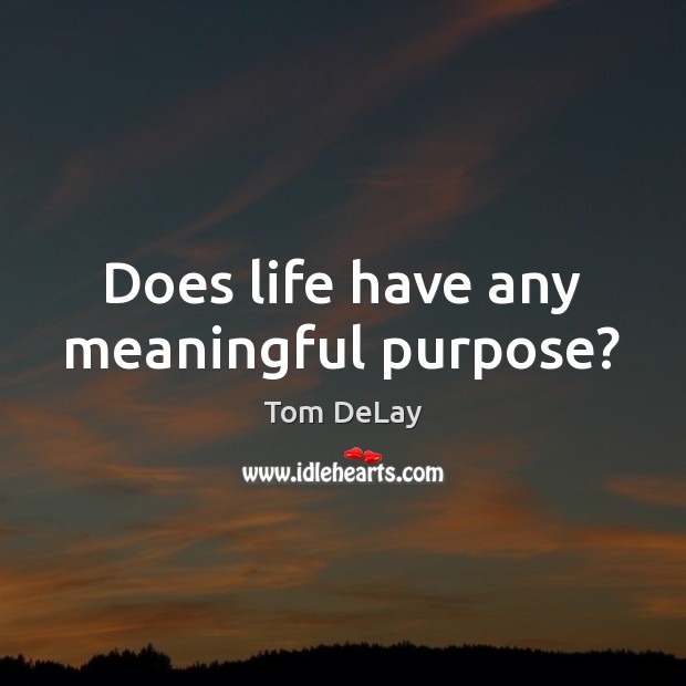 Does life have any meaningful purpose? Tom DeLay Picture Quote
