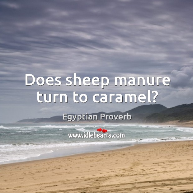 Does sheep manure turn to caramel? Egyptian Proverbs Image