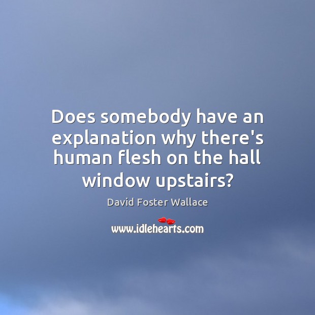 Does somebody have an explanation why there’s human flesh on the hall window upstairs? David Foster Wallace Picture Quote