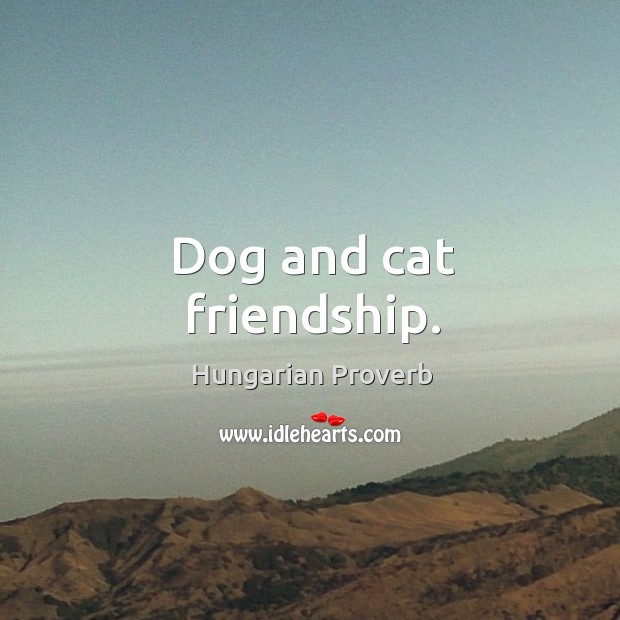 Dog and cat friendship. Image