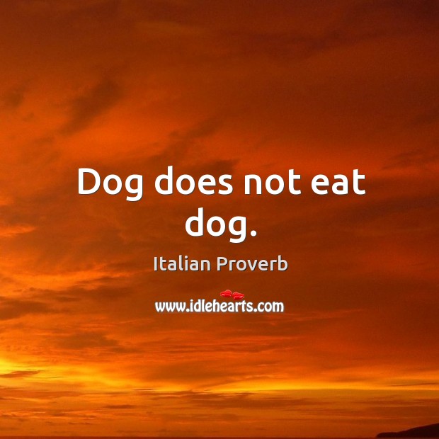 Dog does not eat dog. Image