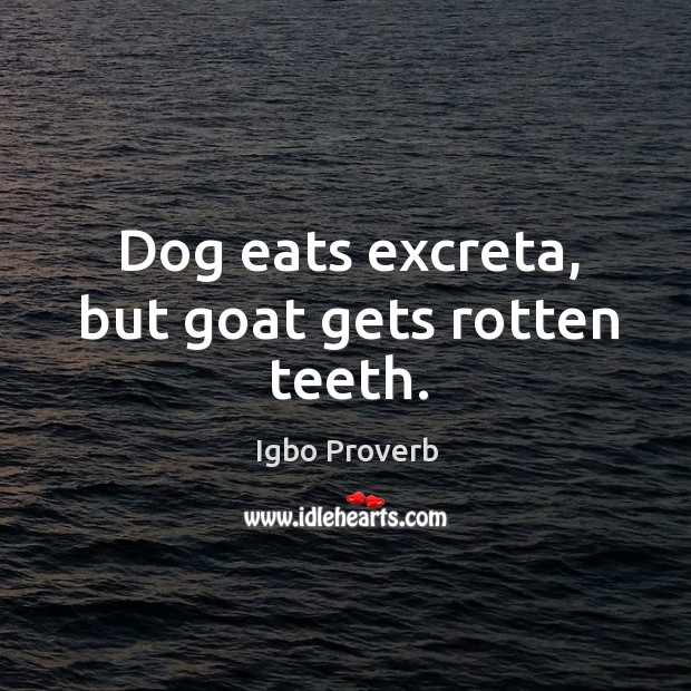 Dog eats excreta, but goat gets rotten teeth. Igbo Proverbs Image