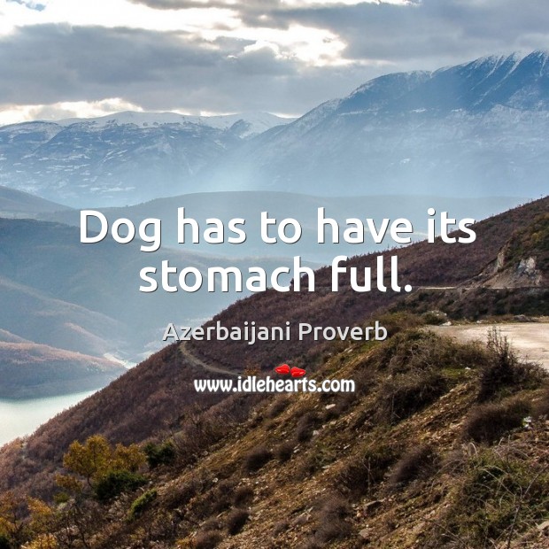 Dog has to have its stomach full. Azerbaijani Proverbs Image