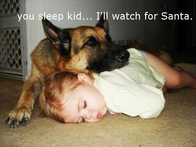 You sleep kid, I will watch out for Santa. Funny Quotes Image