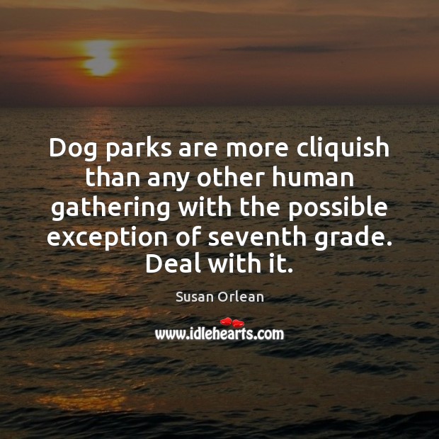 Dog parks are more cliquish than any other human gathering with the Susan Orlean Picture Quote