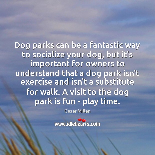 Dog parks can be a fantastic way to socialize your dog, but Cesar Millan Picture Quote