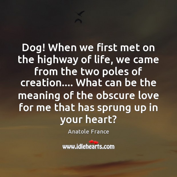 Dog! When we first met on the highway of life, we came Anatole France Picture Quote
