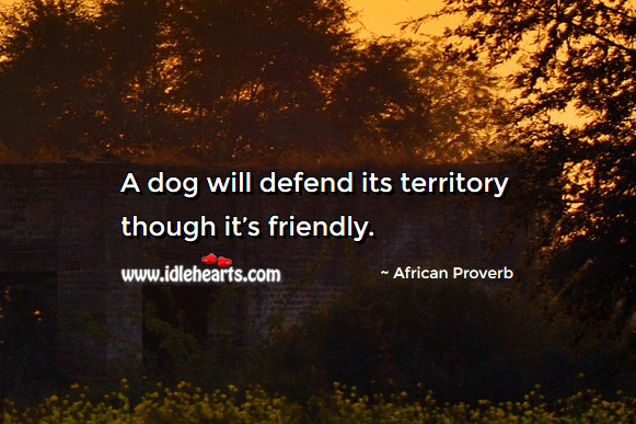 A dog will defend its territory though it’s friendly. Image