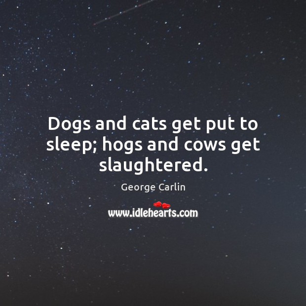 Dogs and cats get put to sleep; hogs and cows get slaughtered. George Carlin Picture Quote
