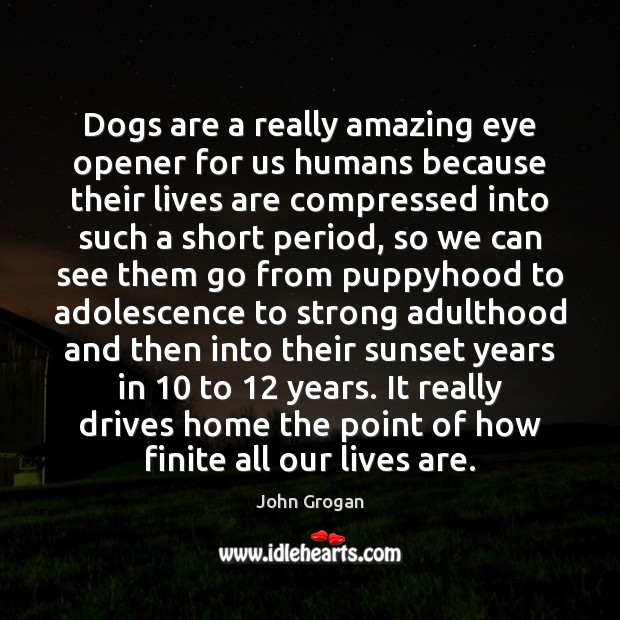 Dogs are a really amazing eye opener for us humans because their John Grogan Picture Quote
